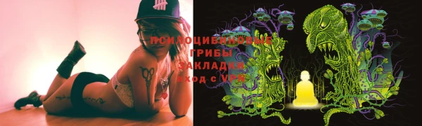 крисы Алзамай