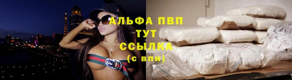крисы Алзамай