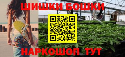 СК Пугачёв