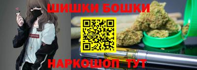 СК Пугачёв