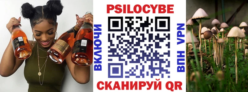 закладка  Советская Гавань  Галлюциногенные грибы мухоморы 