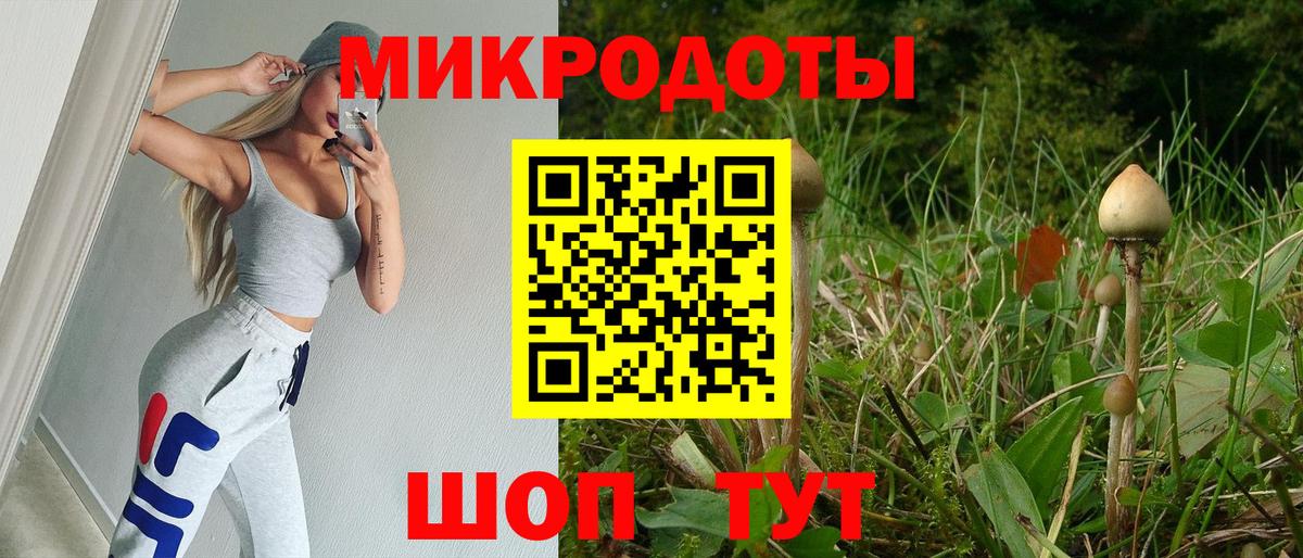 Галлюциногенные грибы мухоморы Советская Гавань