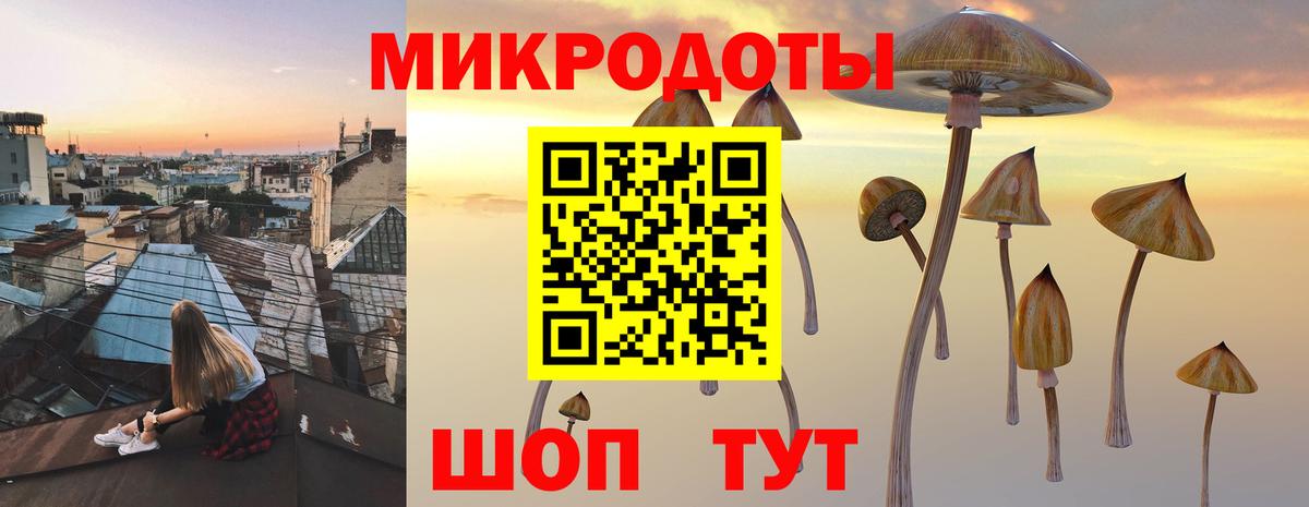 Советская Гавань  Галлюциногенные грибы Cubensis  Вход с VPN  Псилоцибиновые грибы Psilocybe 